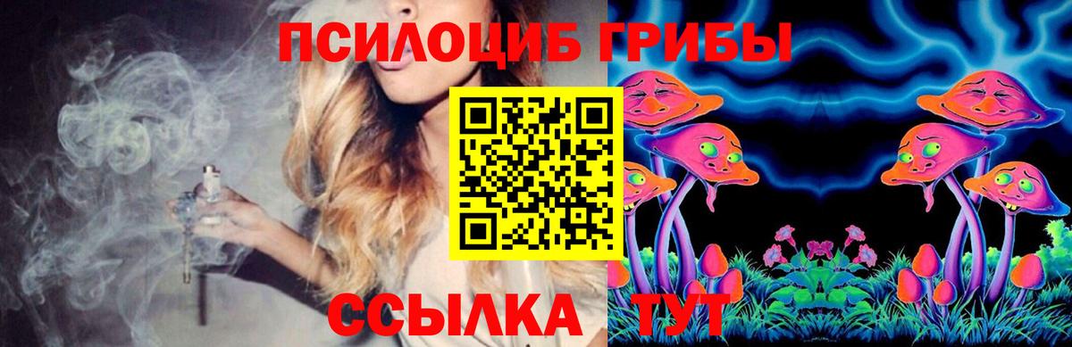 Галлюциногенные грибы Magic Shrooms Новочеркасск